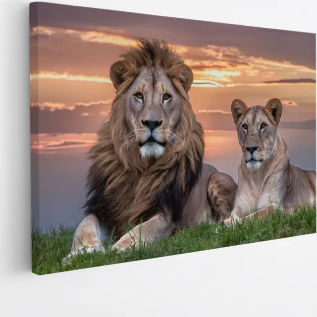 Saammp Canvas Schilderij - Leeuwenkoppel met afrikaanse zonsondergang - Dieren - Natuur - 30x20 - Foto op canvas - Wanddecoratie - Muurdecoratie Woonkamer - Slaapkamer decoratie - Canvas Print Multicolor