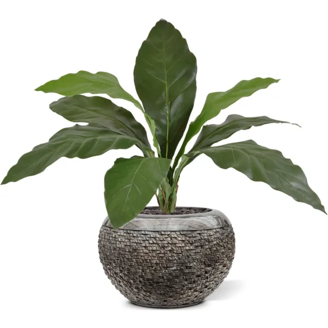 maxifleur Kunstplanten Anthurium Jungle King kunstplant 60cm Groen