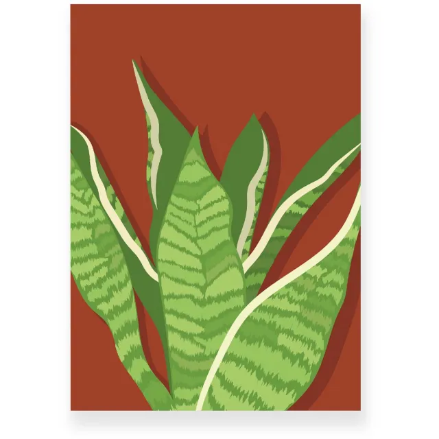 Yisual Poster 30x40 cm - Sansevieria - Planten - Groen - Roodbruin - Botanisch - Minimalistisch - Muurdecoratie - Wanddecoratie
