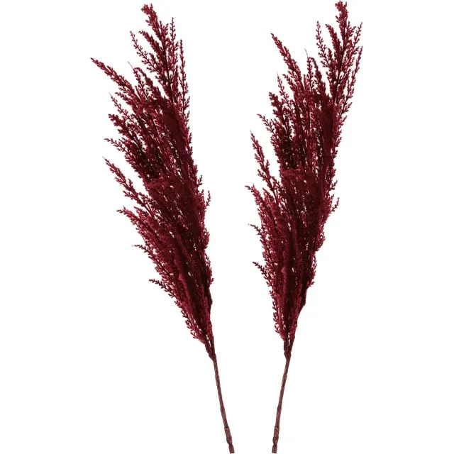 Top Art TopArt Pampasgras pluim losse steel/tak - 2x - bordeaux rood - 100 cm - Decoratie kunst bloemen/graspluimen