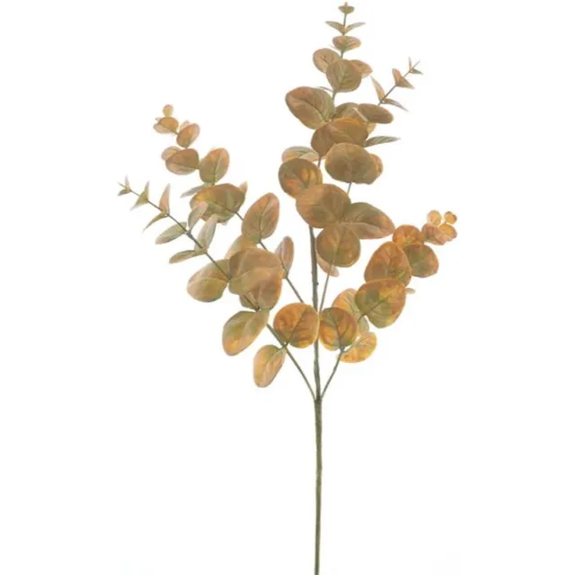Hortus Kunsttak eucalyptus monica yellow, 63 cm Hortus onbekend