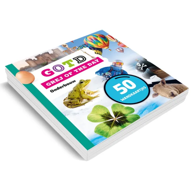 Grej of the day wandkaartjes onderbouwboek