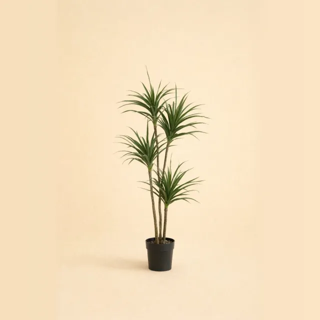plantenkopen.online Onlineplantenkopen - Kunstplant Dracaena - Dracaena - Kunstplanten voor binnen - Onderhoudsvrij - Nep plant - 165 cm hoog - Kunstplanten Groen