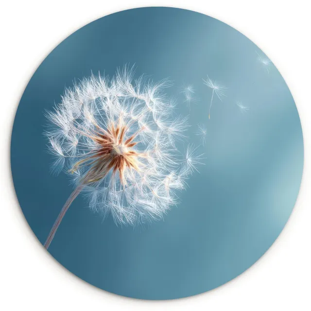 WallCircle Wandcirkel 60x60 cm - Muurcirkel Paardenbloem - Wind - Blauw - Muurdecoratie woonkamer - Wanddecoratie slaapkamer - Kamer decoratie accessoires - Ronde schilderijen