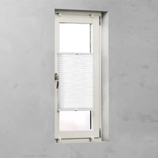 DTCH Plissegordijn Fine - Lichtdoorlatend - Wave - 50 x 130 White