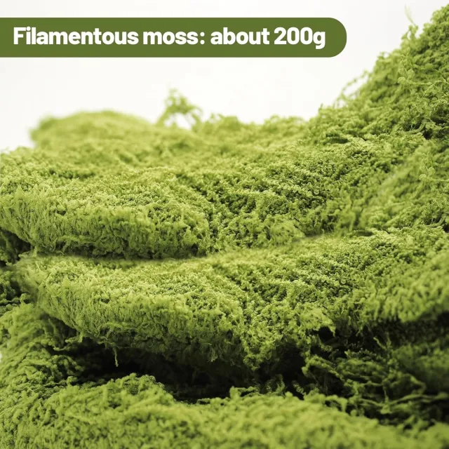 Famanu Kunstmos, decoratie, 200 g, kunstplanten, mos, nylon, kunstplant, mos, voor eeuwige tuinen, muur, aquarium, modelbouw, donkergroen Famanu