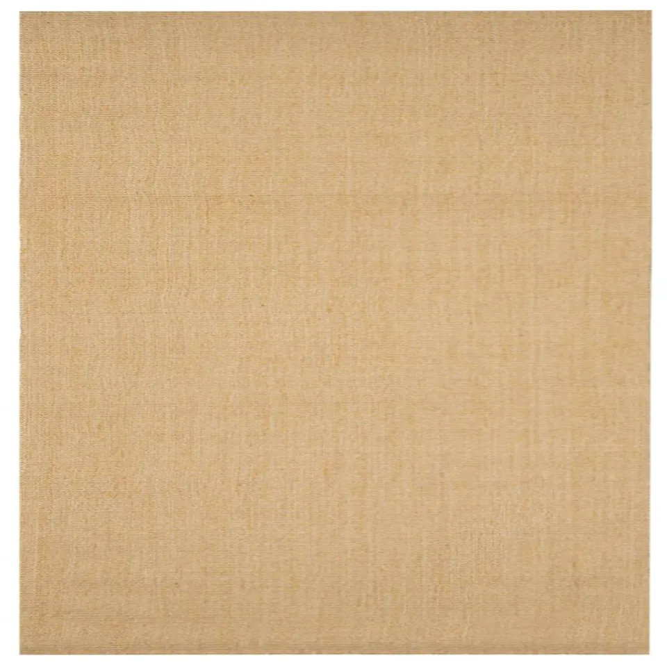 vidaXL Vloerkleed 100x100 cm natuurlijk sisal Bruin