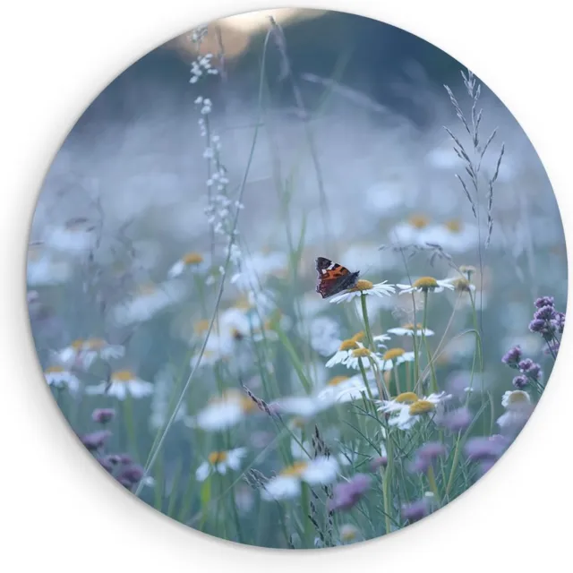 Saammp Forex Muurcirkel - Vlinder in bloemenveld - Dieren - Natuur - Ø 70 - Wandcirkel - Wanddecoratie Cirkel - muurdecoratie Woonkamer - Slaapkamer decoratie - Rond Schilderij