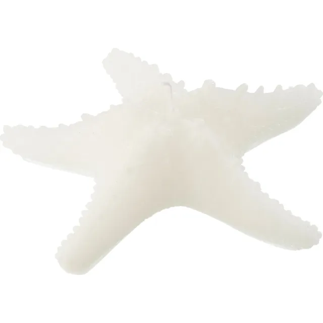 J-Line kaars Zeester - wit - large - 3U