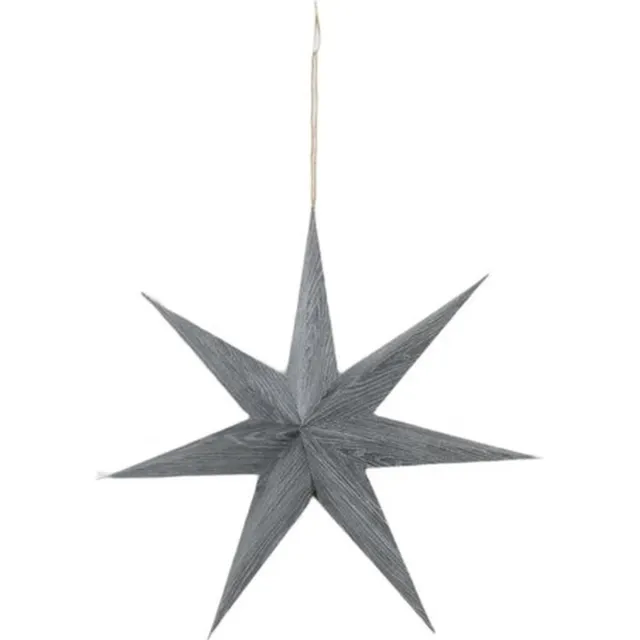 DKNC Kerstster Grijs | 7 punten | 39cm