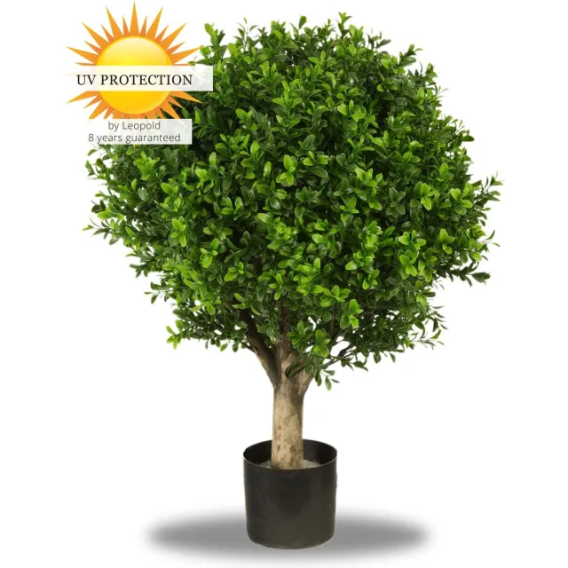 LeopoldFlora UV bestendige Buxus Bol 40 cm groen