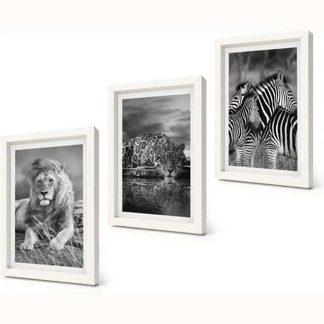 Coloray 3-Delige Schilderij Set - Wilde dieren van de savanne: leeuw, jaguar en zebra. - 20x30 - Stijlvolle Muurdecoratie - Kantoor - Moderne Wanddecoratie Witte lijst