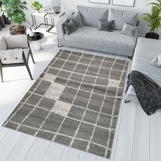 Tapiso Sari Vloerkleed Woonkamer Grijs Tapijt Karpet Maat- 200x290 Grijs 9