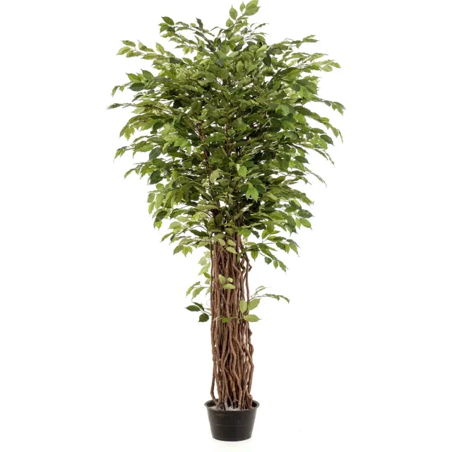 Emerald Kunstplant Ficus Benjamina Liana Deluxe 205cm - Kunstplant voor binnen Groen