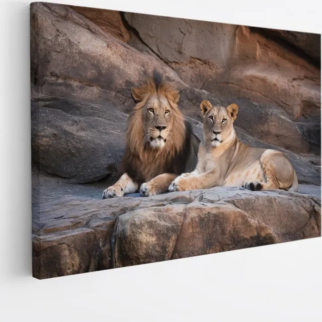 Saammp Canvas Schilderij - Leeuw en Leeuwin op Rotsen - Dieren - Natuur - 40x30 - Foto op canvas - Wanddecoratie - Muurdecoratie Woonkamer - Slaapkamer decoratie - Canvas Print Multicolor