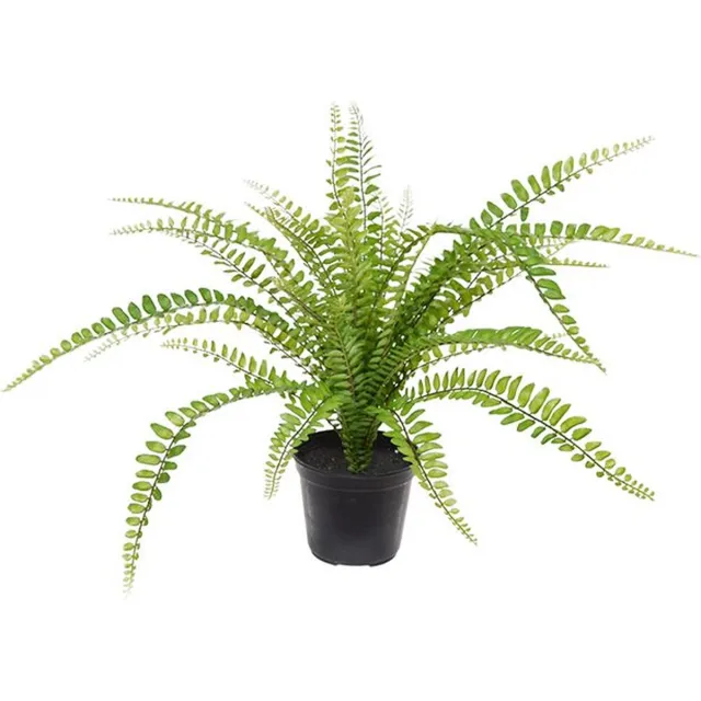 maxifleur Kunstplanten Asplenium Varen kunstplant 45cm in pot Groen