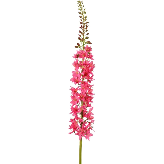 Viv! Home Luxuries Eremurus - zijden bloem - roze - 94cm