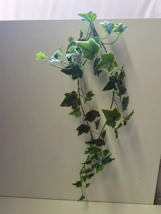 Decostar Kunst tak - Hang tak - Hedera Chicago - Chicago hanger - Groen - Geel - 80x20cm.