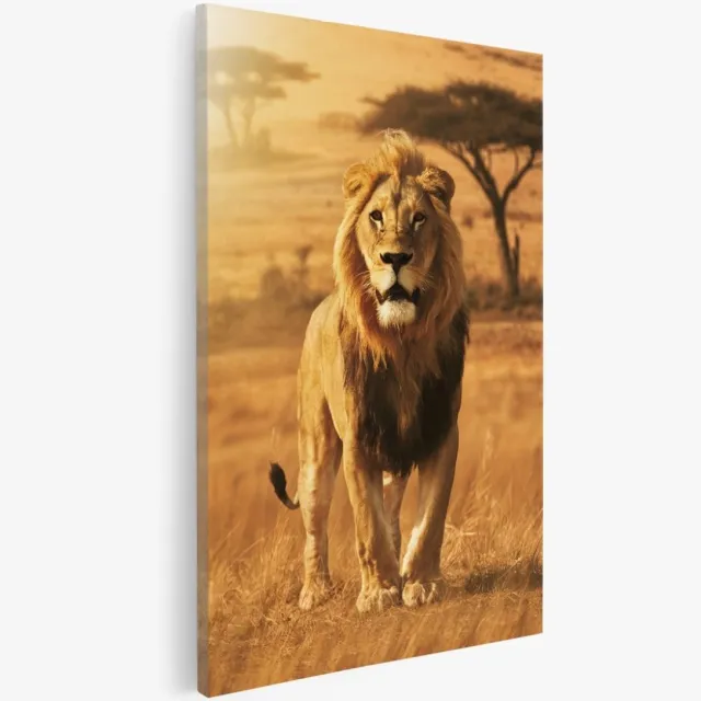 Saammp Canvas Schilderij - Leeuw in savanne - Afrika - Dieren - 30x40 - Foto op canvas - Wanddecoratie - Muurdecoratie Woonkamer - Slaapkamer decoratie - Canvas Print Multicolor