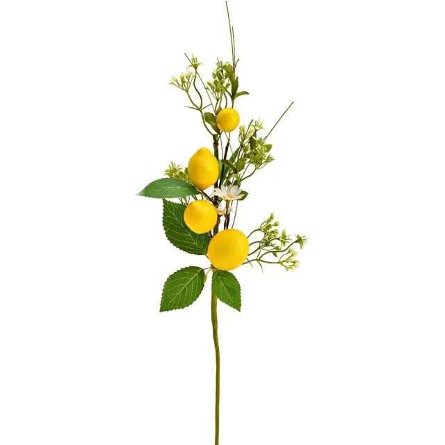 ART Kunstcitroentak, geel/groen (B/H/D) 18x45x8cm groen/geel