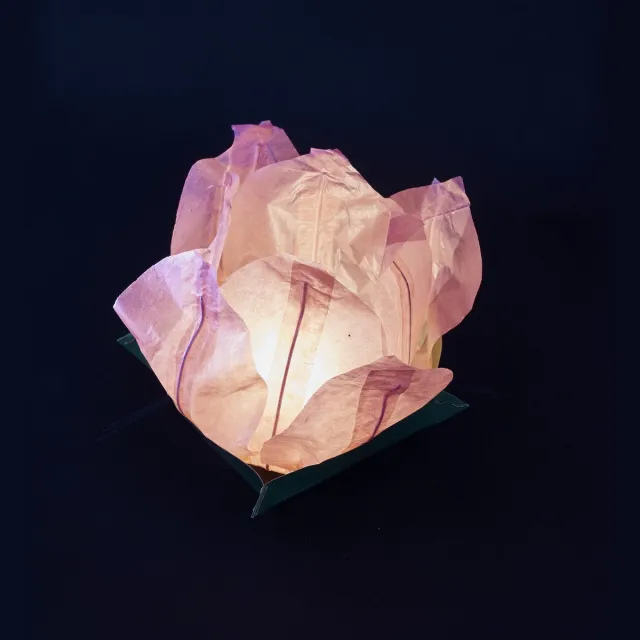 Volanterna 10 Drijflantaarns in Bloemvorm – Roze Rijstpapieren Waterlantaarns – Voor Water of Tafel – Inclusief Waxinelichtje – diameter 30 cm opengevouwen / 20 cm gevouwen rose