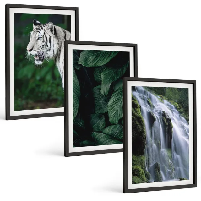 TULUP 4-Delige Schilderij Set - Tijgerwitte bladeren en een waterval in een natuurlijke omgeving - 40 x 60 cm - Wanddecoratie - Woonkamer Decoratie Zwarte lijst