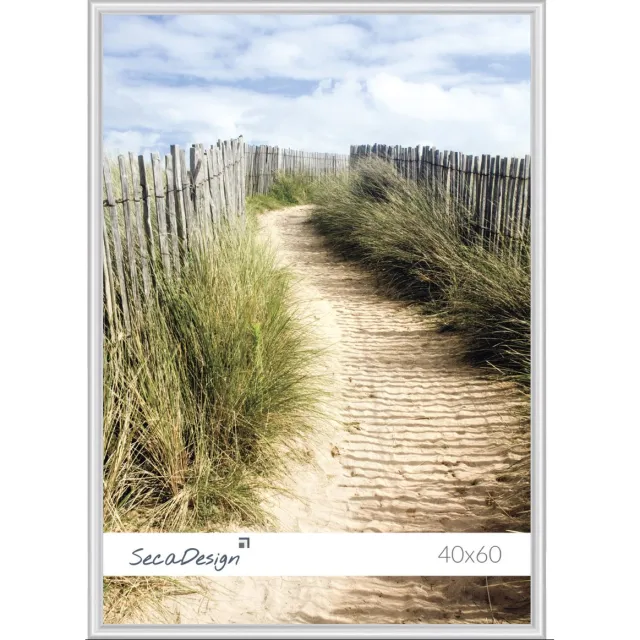 SecaDesign Fotolijst - SecaDesign - 40x60 cm Fotomaat - Zilver - Posterlijst