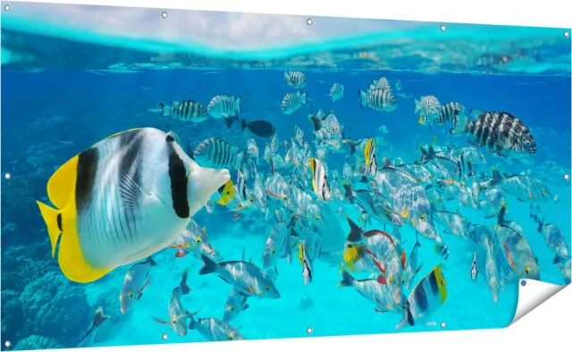 Gards Tuinposter Zwerm Gele Vissen in het Water - 200x100 cm - Tuindoek - Tuindecoratie - Wanddecoratie buiten - Tuinschilderij Multikleur