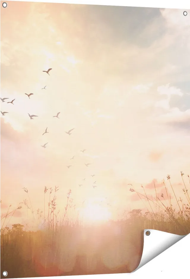 Gards Tuinposter Silhouet Vogels tijdens Zonsopkomst - 80x100 cm - Tuindoek - Tuindecoratie - Wanddecoratie buiten - Tuinschilderij Multikleur