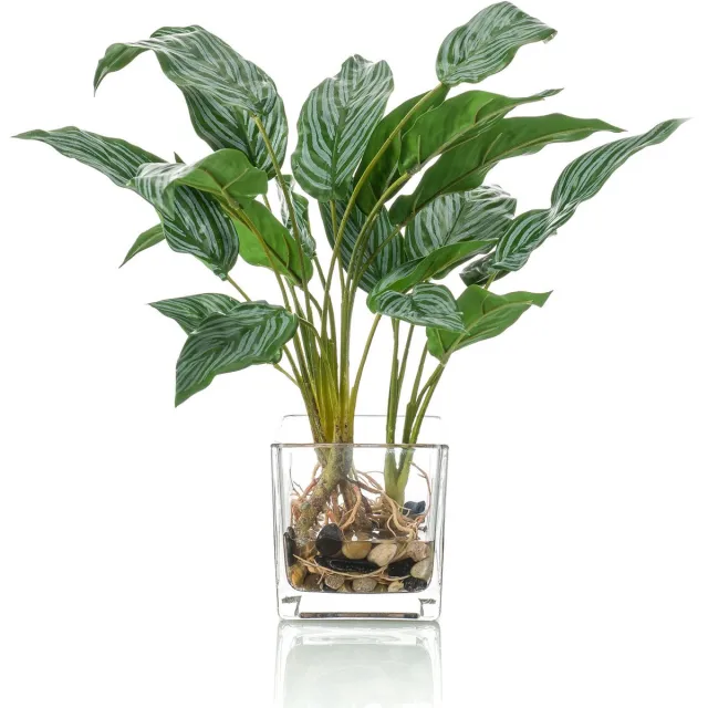 Easyplants Kunstplant Aglaonema 45 cm in glas Groen