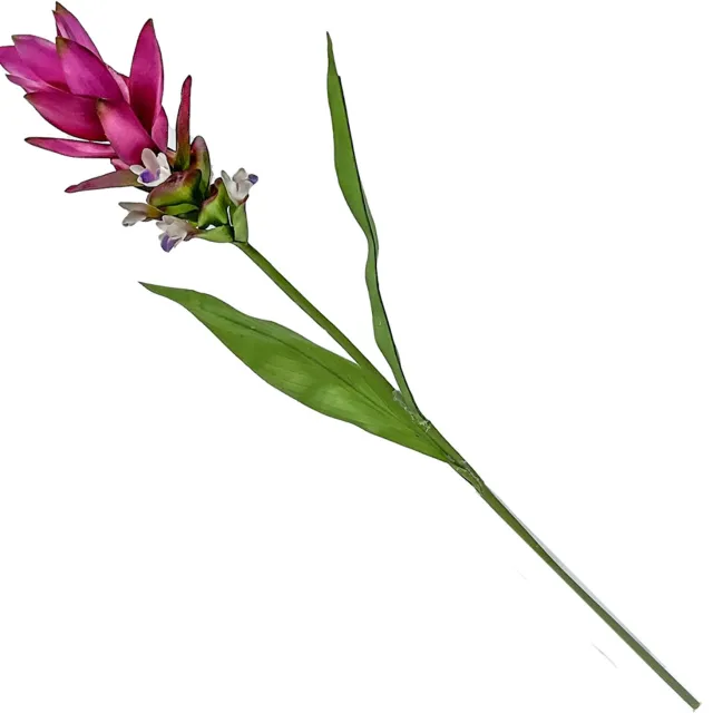 homebound by ky Kunstbloem Siamese tulp fuchsia | kunstbloem Roze