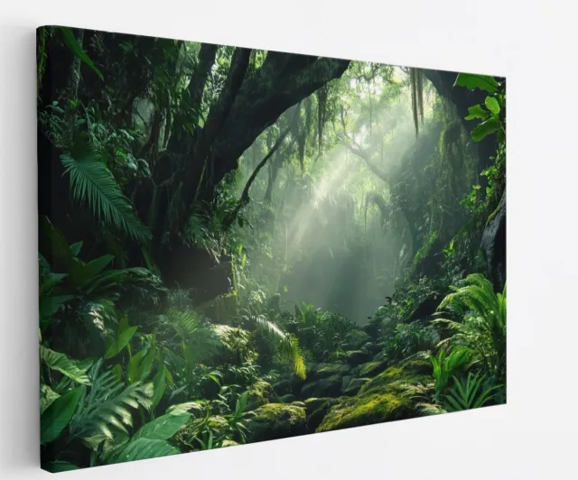Saammp Canvas Schilderij - Natuur - Jungle - landschap - 90x60 - Foto op canvas - Wanddecoratie - Muurdecoratie Woonkamer - Slaapkamer decoratie - Canvas Print Multicolor