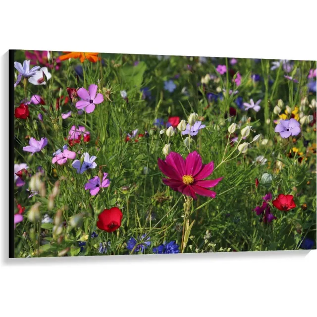 KuijsFotoprint Canvas - Velt met Bloemen in alle Kleuren - 120x80cm Foto op Canvas Schilderij (Wanddecoratie op Canvas) Groen