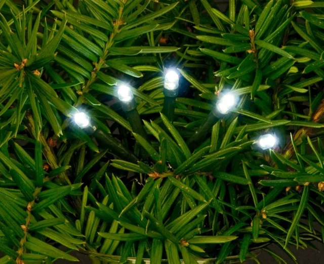 CBD Anna's Collection Kerstverlichting - 180 led lampjes - helder wit - 13,5 meter - dimmer - timer - buiten
