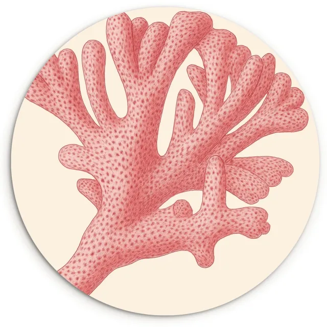 WallCircle Wandcirkel 90x90 cm - Muurcirkel Koraal - Stipjes - Roze - Muurdecoratie woonkamer - Wanddecoratie slaapkamer - Kamer decoratie accessoires - Ronde schilderijen