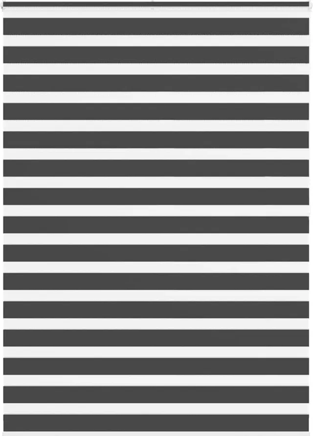 vidaXL Zebra - rolgordijn - 165x200 - cm - stofbreedte - 160,9 - cm - zwart
