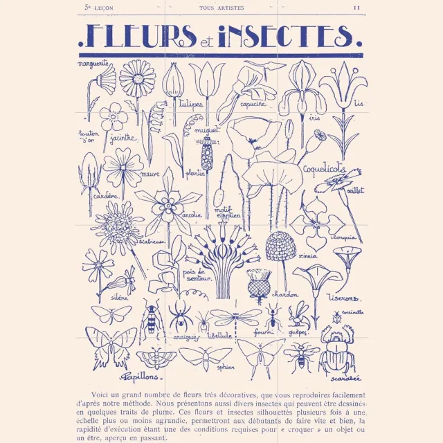 IXXI Fleurs et Insectes, Aster Edition - 60 x 80 cm - Grote wanddecoratie en posters - Vintage, Illustraties, Line art, Woonkamer, Botanisch Blauw / Lichte tinten