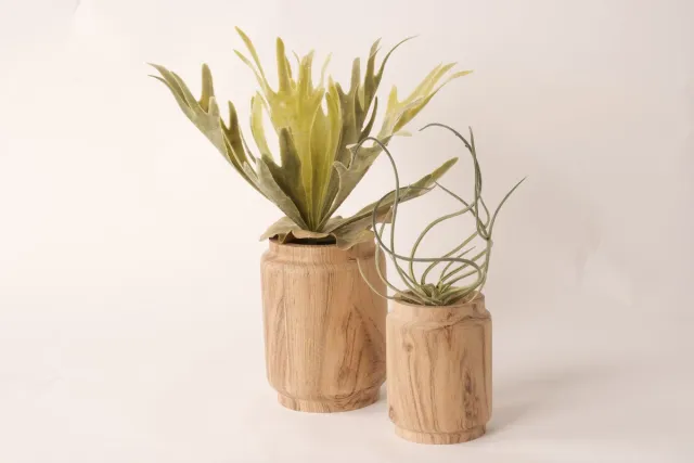 Winq Mooie Houten Vazen S/2-gemaakt van Acaciahout - geschikt voor kunstbloemen of droogbloemen- 10x13cm en 13x17cm naturel