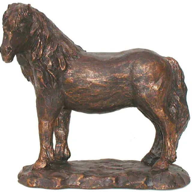 Beeld Pony kijkt naar links