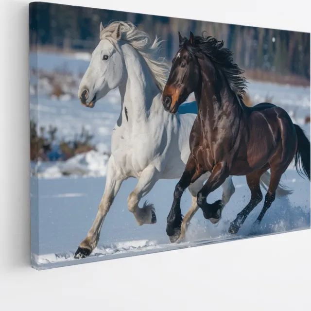 Saammp Canvas Schilderij - Paard - Dieren - Natuur - 50x40 - Foto op canvas - Wanddecoratie - muurdecoratie Woonkamer - Slaapkamer decoratie - Canvas Print Multicolor