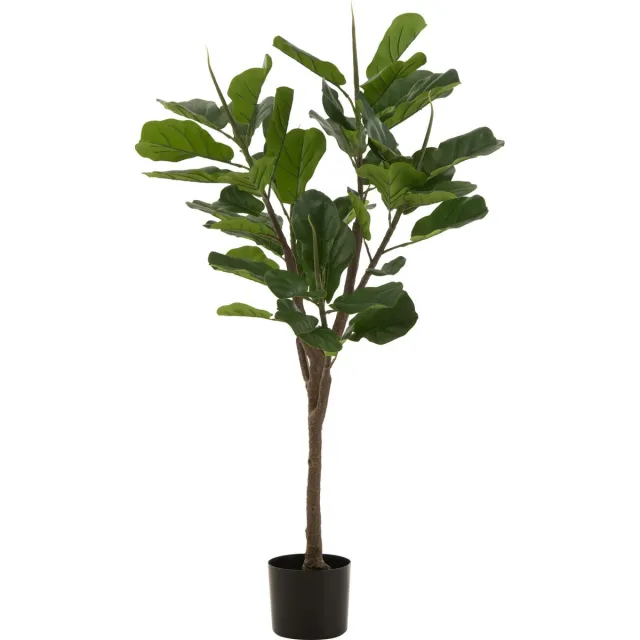 J-Line Vioolbladplant - kunststof - groen