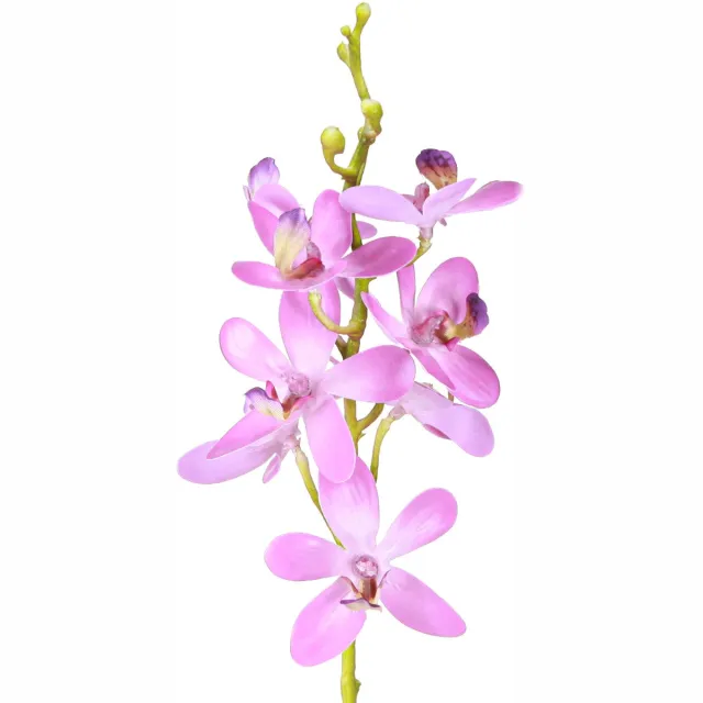 Viana Kunstmatige orchideeën 8 paarse bloemen Ø3,5cm–5cm 2st, 2 Stück