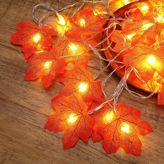 Rosnek 2 Stuks Herfst Lichtsnoer met Esdoornbladeren en Pompoenen - Warm Witte LED Decoratie - Batterijgevoed - 10 LED - Halloween en Thanksgiving