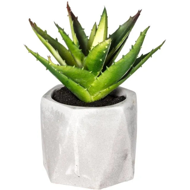 Atmosphera Créateur d'intérieur® Kunstvetplant MASAO Blanc