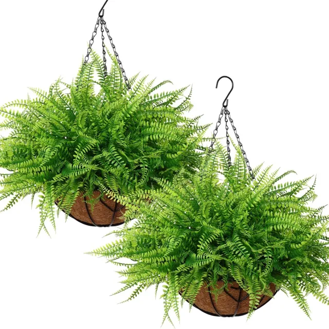 Unyqoos Twee Weerbestendige Kunstvarens in Mand voor Binnen en Buiten Decoratie groen