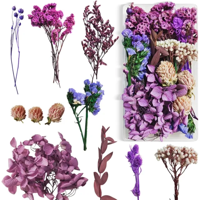 Famanu Kleine gedroogde bloemen set in dozen voor knutselen en decoratie