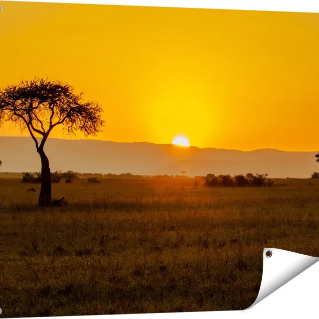 Gards Tuinposter Zonsopgang in de Savanne met een Boom - 100x80 cm - Tuindoek - Tuindecoratie - Wanddecoratie buiten - Tuinschilderij Multikleur