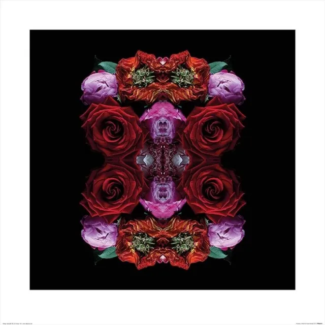 Pyramid Kunstdruk Alyson Fennell - Paradise of Petals 60x60cm Divers