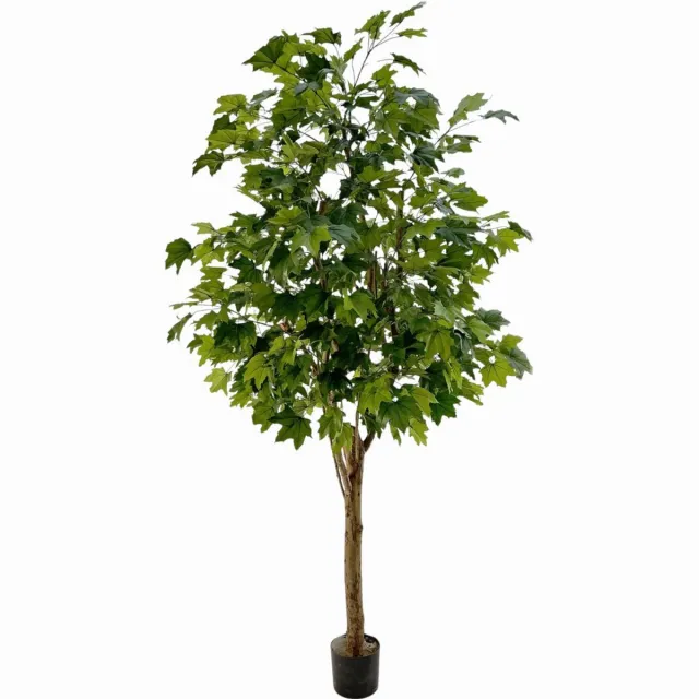 maxifleur Kunstplanten Maple Kunstboom deluxe 250cm op stam Groen