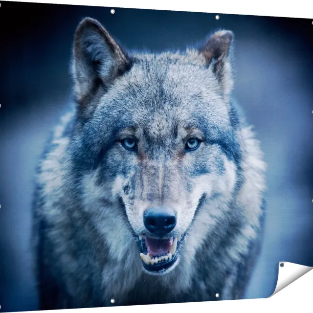 Gards Tuinposter Wolvenkop met Blauwe Ogen - Wolf - 150x120 cm - Tuindoek - Tuindecoratie - Wanddecoratie buiten - Tuinschilderij Multikleur